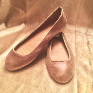 Fossil Metallic Flats